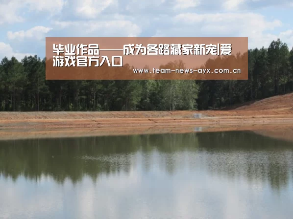 爱游戏官方入口