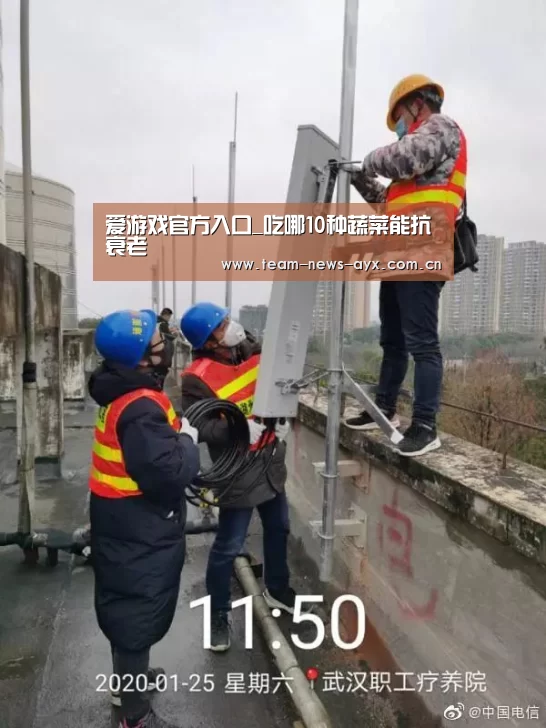 爱游戏官方入口_吃哪10种蔬菜能抗衰老(图2) 爱游戏官方入口