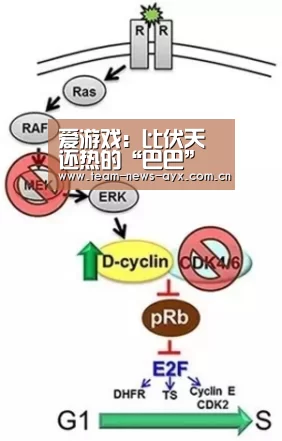 爱游戏官方入口