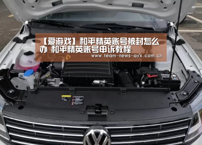 爱游戏官方入口