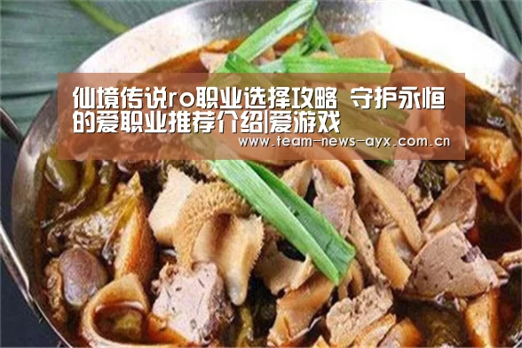 仙境传说ro职业选择攻略 守护永恒的爱职业推荐介绍|爱游戏(图2) 爱游戏