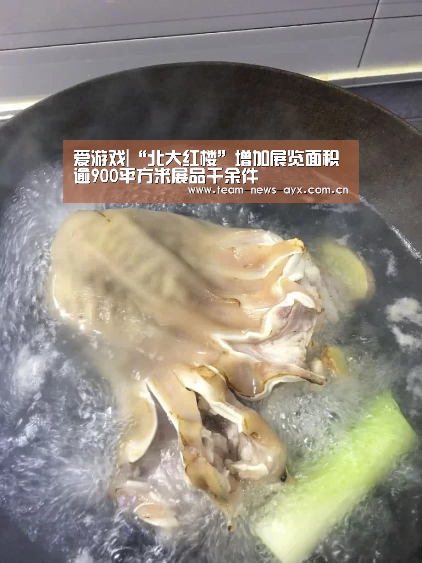 爱游戏官方入口